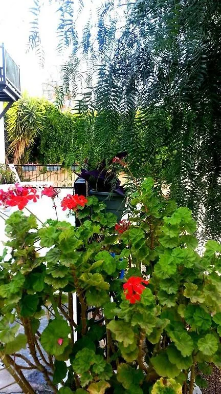 Emelce Apart Bodrum 2*,