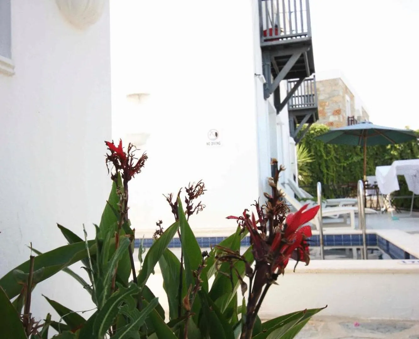 Emelce Apart Bodrum 2*,